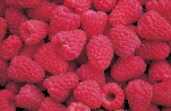 red berries red berries