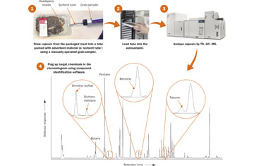 Figure 1: Flow chart showing the process used to sample and identify the volatile compounds released from the packaged sirloin steak. Some key compounds identified are highlighted in the resulting chromatogram.
