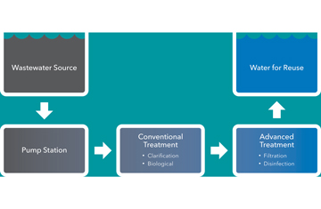 Xylem treatment process diagram