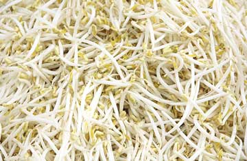 bean-sprouts