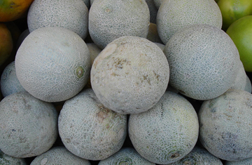 Cantaloupes