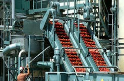 food-processing-machinery food-processing-machinery