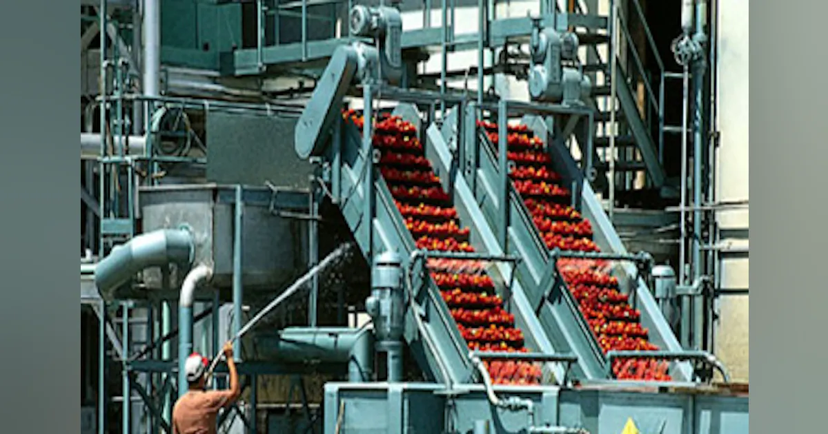 Global demand for food processing machinery on the rise | Processing ...