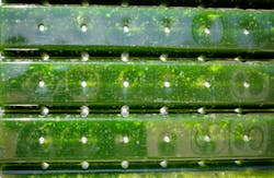 annedde/iStock annedde/iStock