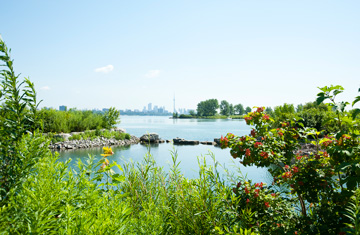 DebraLeeWiseberg/iStock