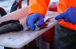 witoldkr1/iStock witoldkr1/iStock