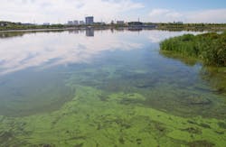 daizuoxin/iStock daizuoxin/iStock