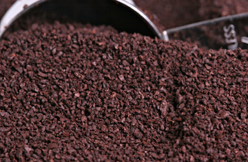 hayesphotography/iStock