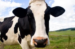 Milk Processing Industry_121912 Milk Processing Industry_121912