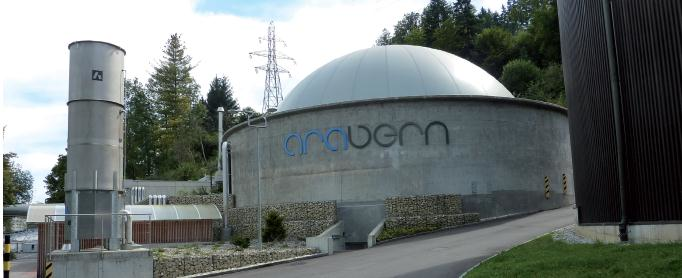 Bio Gas Whitepaper February 2013