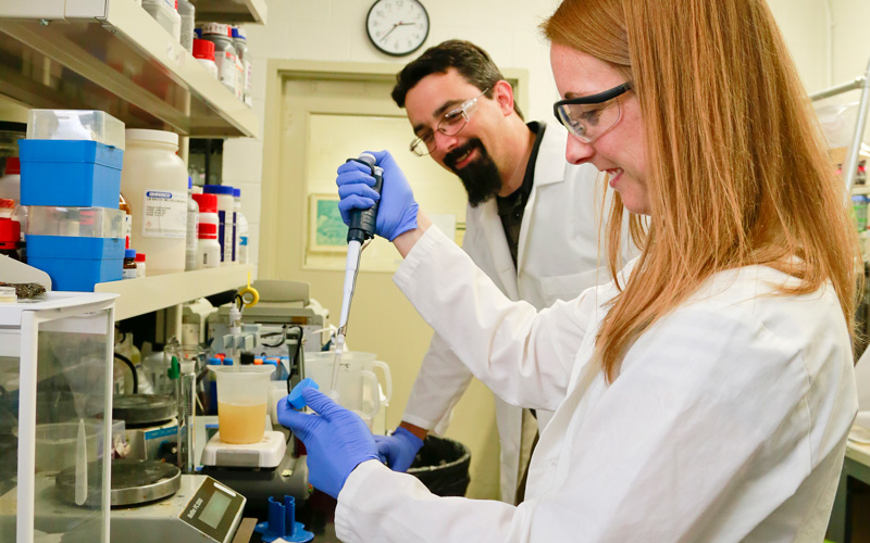 Beth Papanek, working with nutrients for bacterial growth, and Adam Guss are among the ORNL authors of a paper published in Metabolic Engineering. (Photo courtesy Oak Ridge National Laboratory.)