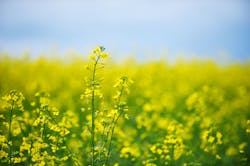 Photo credit: sandsun/iStock Photo credit: sandsun/iStock