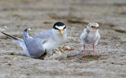 ivkuzmin/iStock ivkuzmin/iStock