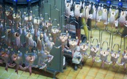 zlikovec/iStock zlikovec/iStock