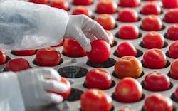 vusta/iStock vusta/iStock