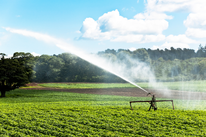 Peter Burnett/iStock