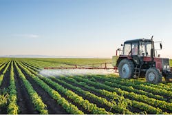 fotokostic/iStock fotokostic/iStock