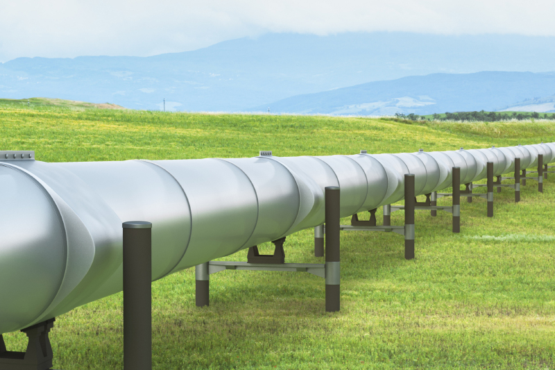 Michal Krakowiak/iStock