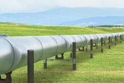 Michal Krakowiak/iStock Michal Krakowiak/iStock