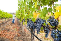 seanfboggs/iStock seanfboggs/iStock