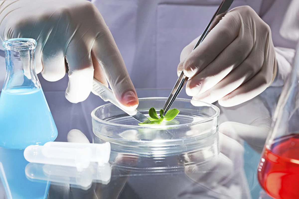 Samsung BioLogics Starts Building world s Largest Biopharmaceutical