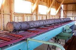 Logcut Large Web Logcut Large Web