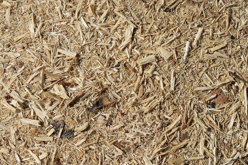 ClubhouseArts/iStock