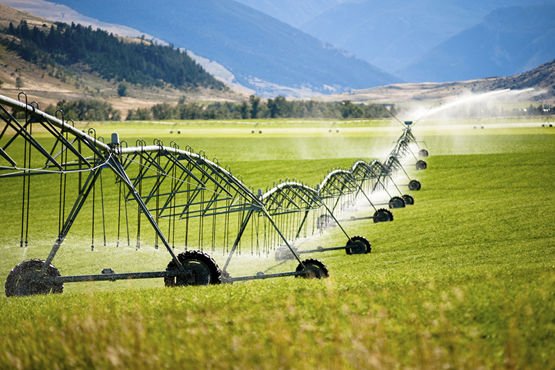 tothemoonphoto/iStock