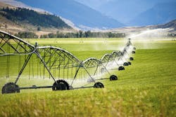 tothemoonphoto/iStock tothemoonphoto/iStock