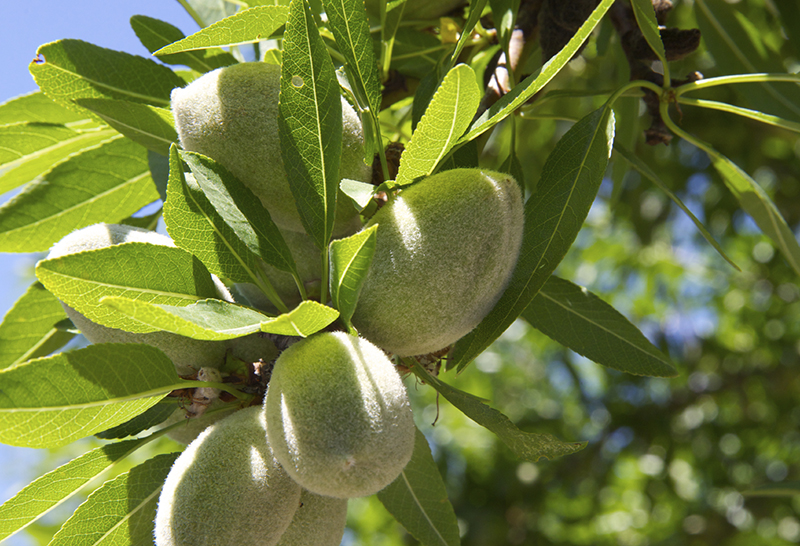 PhotographyPerspectives/iStock