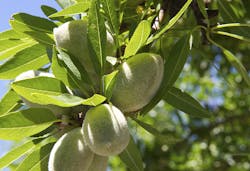 PhotographyPerspectives/iStock PhotographyPerspectives/iStock