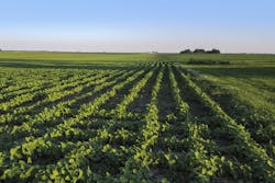 ghornephoto/iStock ghornephoto/iStock