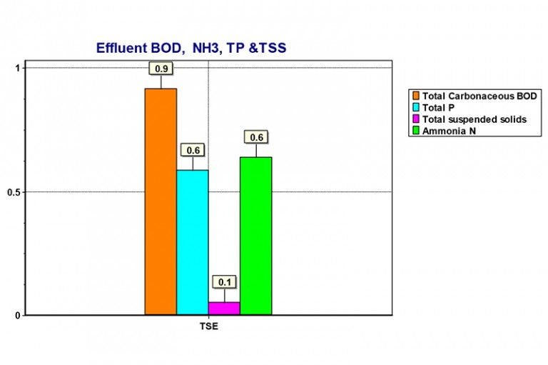 Figure 4. Typical steady-state simulated effluent. All images courtesy of Larsen & Toubro.