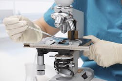 Capifrutta/iStock Capifrutta/iStock