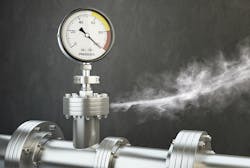 tridland/iStock tridland/iStock