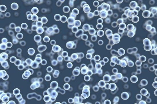 Pobytov E1481733176792