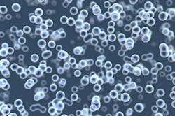 Pobytov E1481733176792 Pobytov E1481733176792