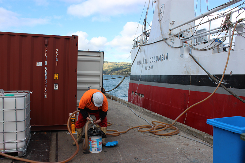 All images courtesy of BISON