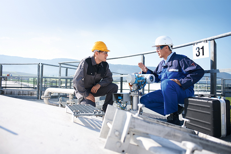 All graphics courtesy of Endress+Hauser