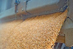 Wheat grain processing. All graphics courtesy of Camfil Air Pollution Control (APC) Wheat grain processing. All graphics courtesy of Camfil Air Pollution Control (APC)