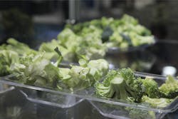 0918 Pr M4 3932 800x533 0918 Pr M4 3932 800x533