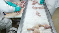 Plastic modular belting utilized for poultry handling. Images courtesy of Arkema