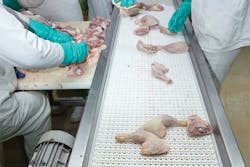 Plastic modular belting utilized for poultry handling. Images courtesy of Arkema Plastic modular belting utilized for poultry handling. Images courtesy of Arkema