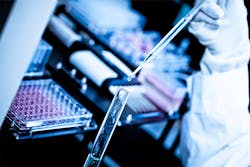 4X-image/iStock 4X-image/iStock