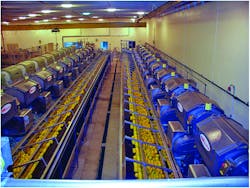 Sgc Figure 1 800 Sgc Figure 1 800