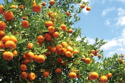 HelloBrianHogan/iStock HelloBrianHogan/iStock