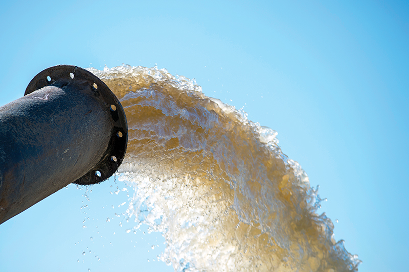 Roman Novitskii/iStock