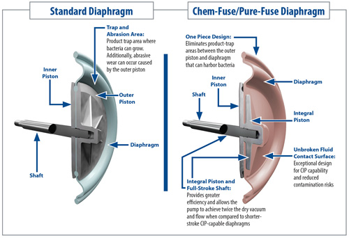 Of The Diaphragm Diaphragm | Definition, Function, & Location