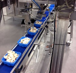 The continued rollout of of the FDA's Food Safety Modernization Act has forced many food manufacturers to take a closer look at their conveyors to ensure compliance and hygienic practices stay top of mind. The continued rollout of of the FDA's Food Safety Modernization Act has forced many food manufacturers to take a closer look at their conveyors to ensure compliance and hygienic practices stay top of mind.
