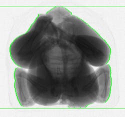 An X-ray of a whole chicken. An X-ray of a whole chicken.